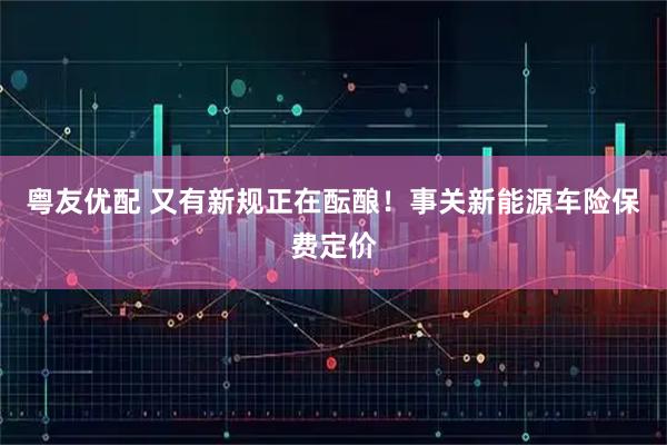 粤友优配 又有新规正在酝酿！事关新能源车险保费定价