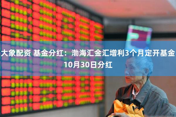 大象配资 基金分红:渤海汇金汇增利3个月定开基金10月30日分红