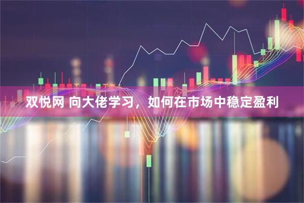 双悦网 向大佬学习,如何在市场中稳定盈利