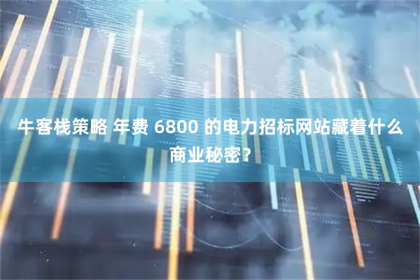 牛客栈策略 年费 6800 的电力招标网站藏着什么商业秘密？