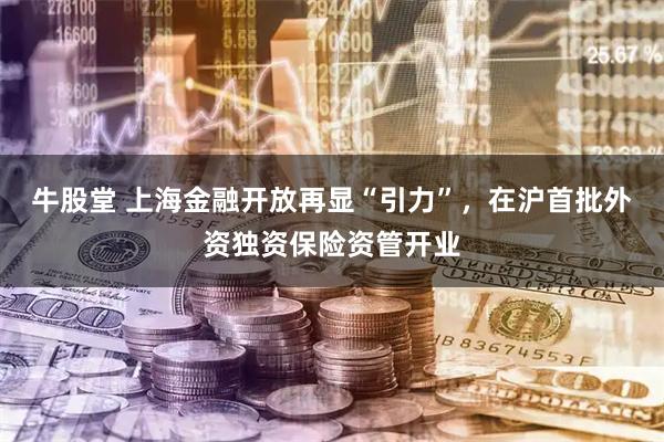 牛股堂 上海金融开放再显“引力”，在沪首批外资独资保险资管开业
